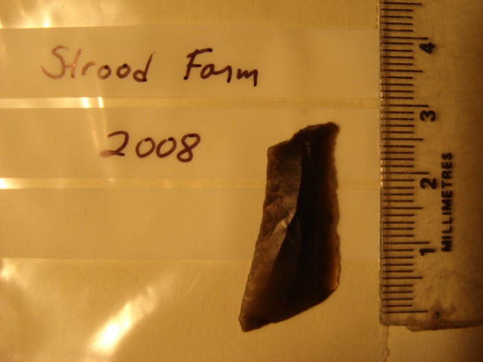 leaf-shaped arrow head